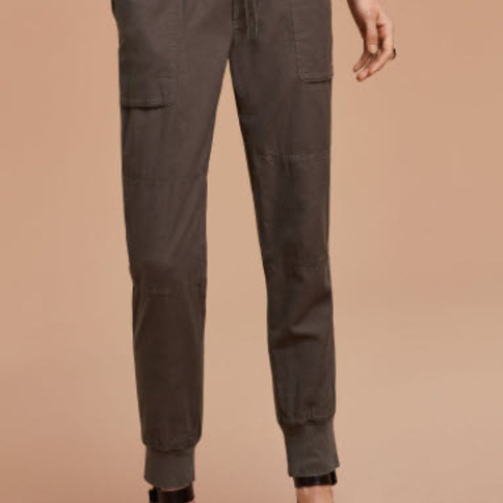 Aritzia Community Ion Pant Cotton Jogger